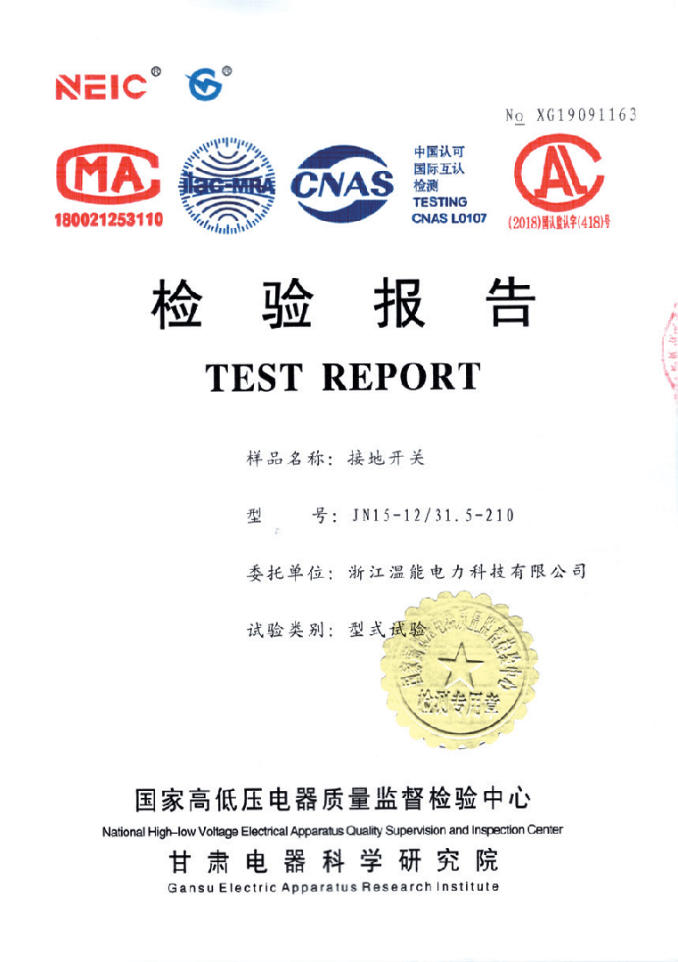 接地开关检验报告